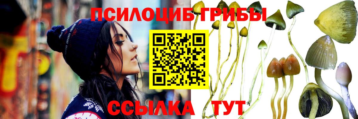 Галлюциногенные грибы Magic Shrooms  Псилоцибиновые грибы ЛСД  Вход с VPN  Алексин 